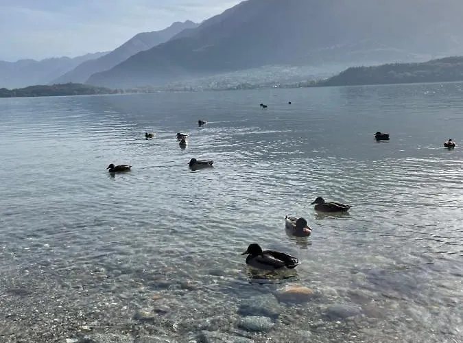 דירה Delfina Terrazzo 013239-cni-00132 *